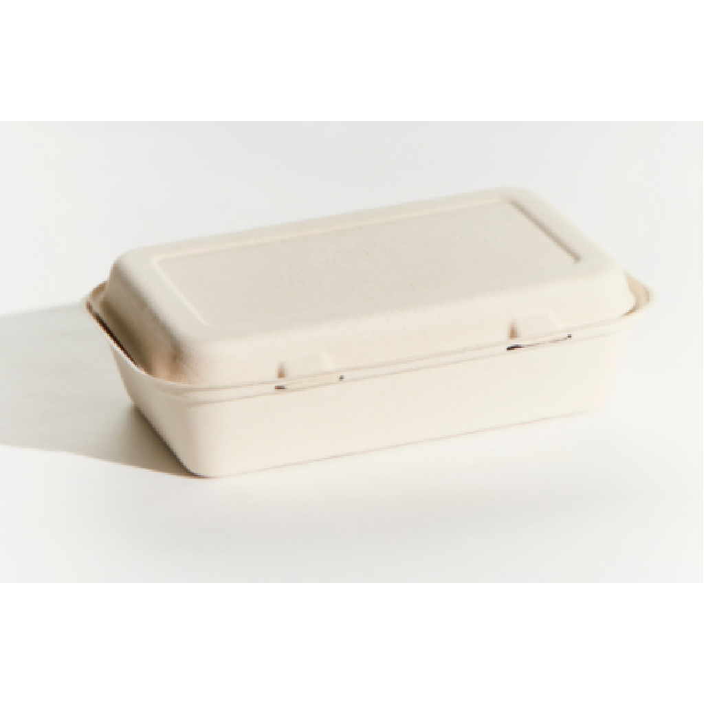 LARGE SNACK BOX SUGAR CANE ***NATURAL*** ***BIOWAY*** (250)