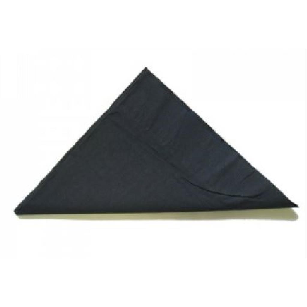 2PLY DINNER NAPKIN QUARTER ***BLACK*** ALPEN [370577] (10X100)  ***CLEARANCE***