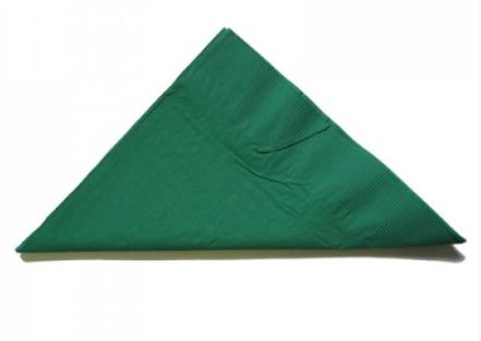 2PLY DARK GREEN DINNER NAPKINS QUARTER FOLD ALPEN  [370565] (1000) ***CARTON ONLY***